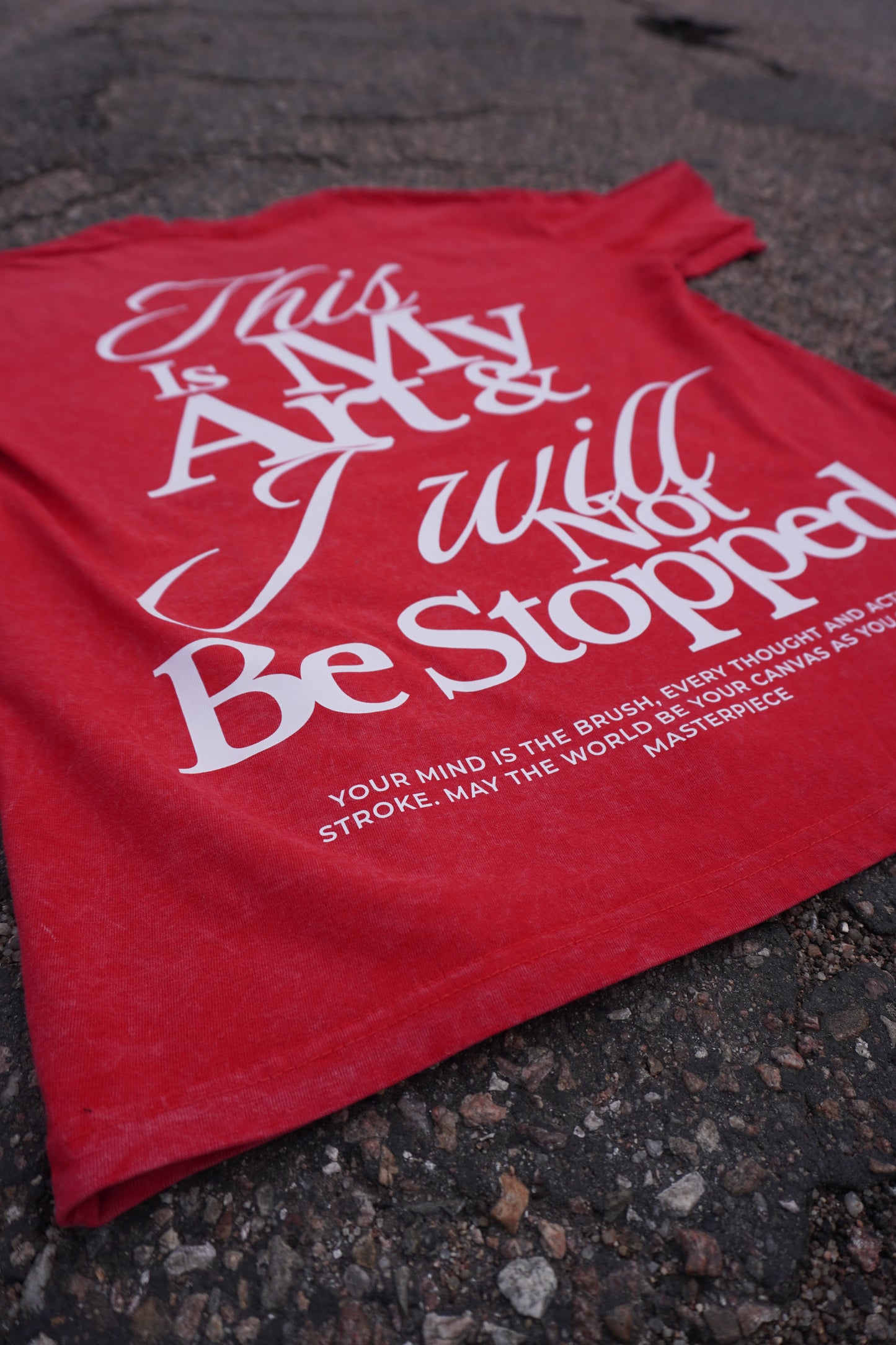 Acid washed ART t shirt